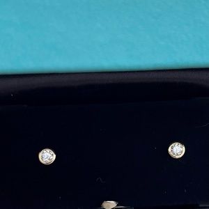 Tiffany & Co. Elsa Peretti DBTY Earrings